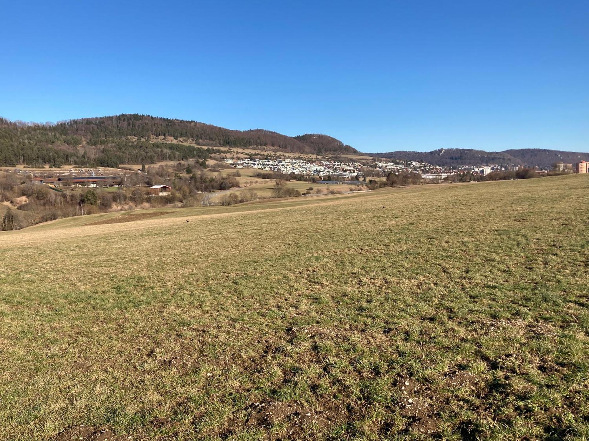 Atemberaubender Ausblick Mit Premium-Wanderwegen Vor Der Haustuer Lägenhet Albstadt Exteriör bild